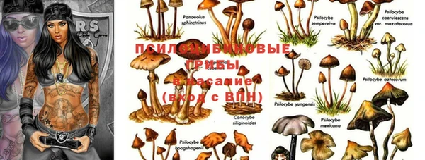 гидропоника Лиски