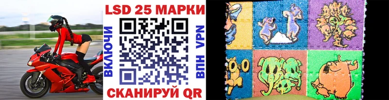 наркота  Махачкала  Марки NBOMe 1,8мг 