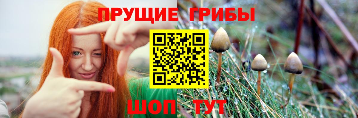 Махачкала  Псилоцибиновые грибы Psilocybine cubensis  даркнет сайт  Вход с VPN  Галлюциногенные грибы Cubensis 