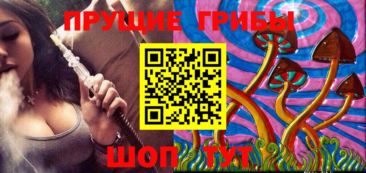 Псилоцибиновые грибы Psilocybe  что такое   Махачкала 